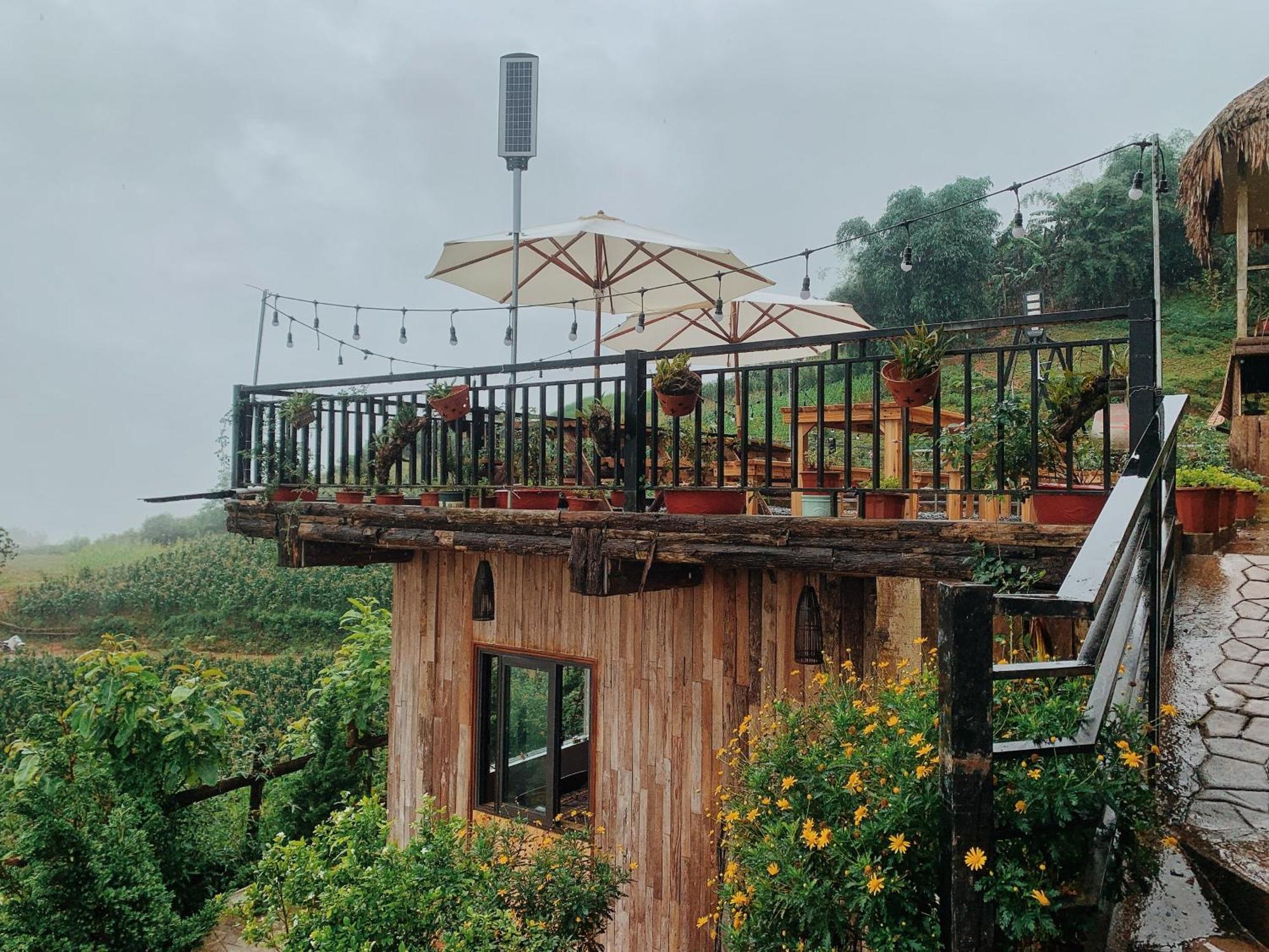 サパ La Rosa House Bed & Breakfast エクステリア 写真